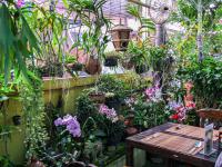 Thailand | , Chiang Mai