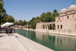 Turkey_2015 | , the Holy Pond at Urfa | Balıklı Göl