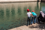 Turkey_2015 | , Boys feeding the fish in the Holy Pond. The fish must not be killed, so there's quite a lot of them (and they are well-fed)