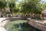Turkey_2015 | , the Holy Pond at Urfa | Balıklı Göl