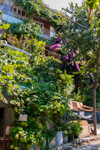 Turkey_2015 | , gardens on Büyükada (Princes' Island)