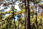 Turkey_2015 | , Büyükada